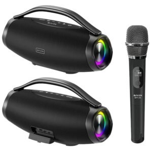 Wireless Speaker + Mic